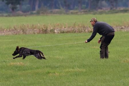 52 such verloren apport