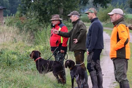 61   richter erklaert vorstehen