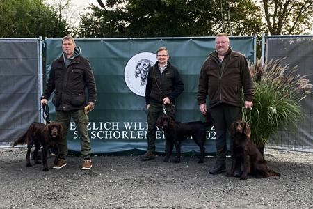 71 schoenste huendin jugendklasse neu