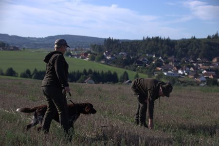 kleine feldfaecher