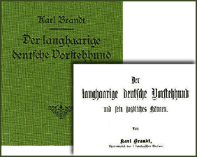 Der langhaarige deutsche Vorstehhund, (Karl Brandt 1910)